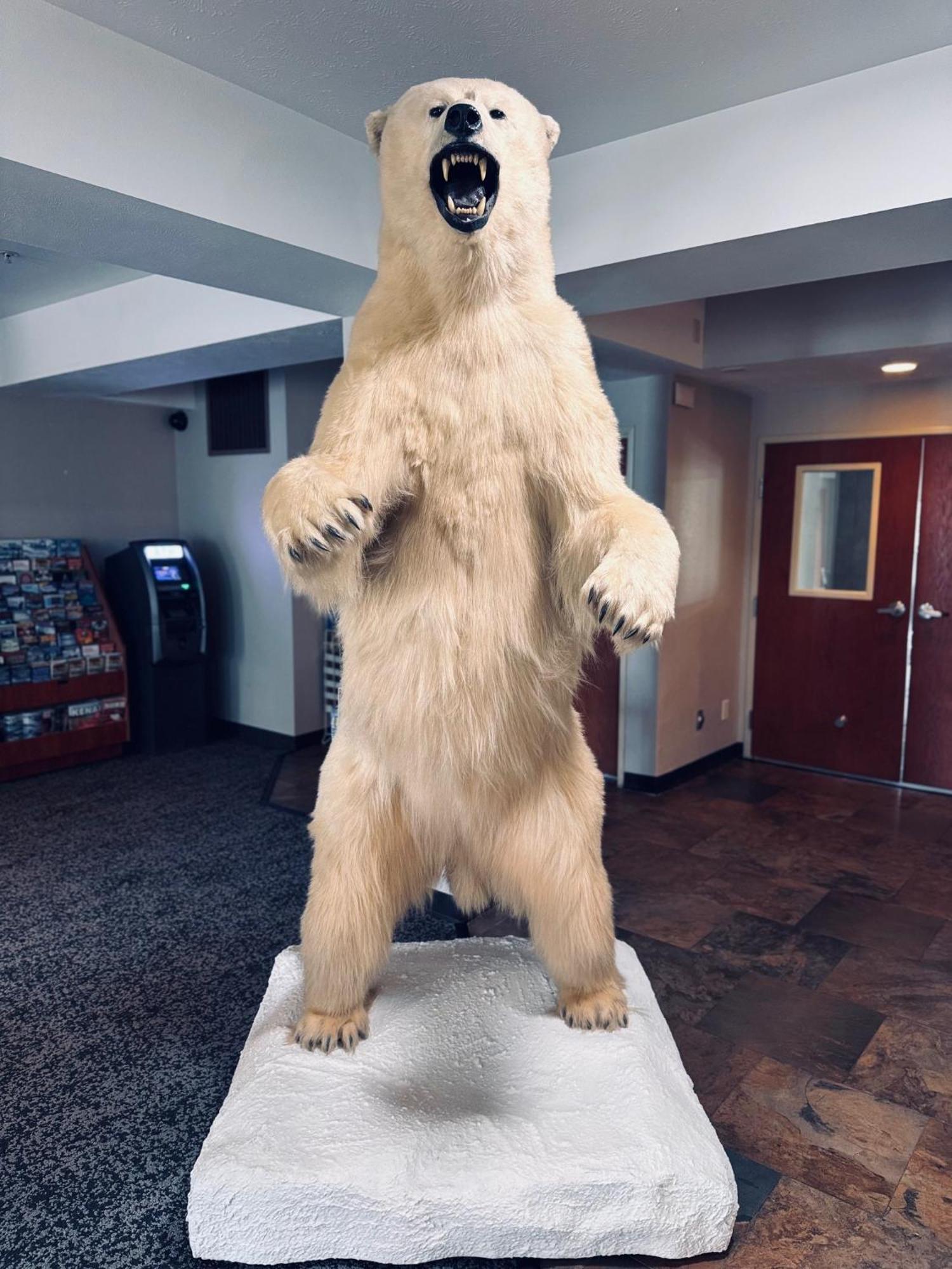 Wyndham Garden Anchorage Airport Hotel Luaran gambar